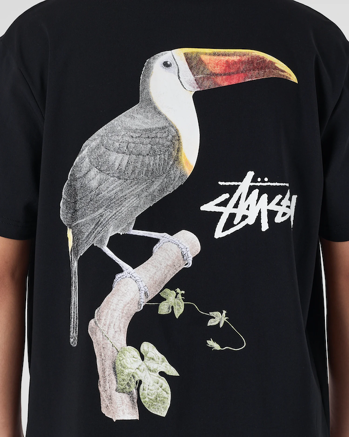 Stussy Men T-Shirts