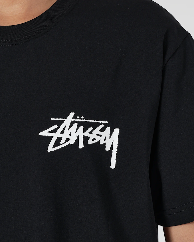 Stussy Men T-Shirts